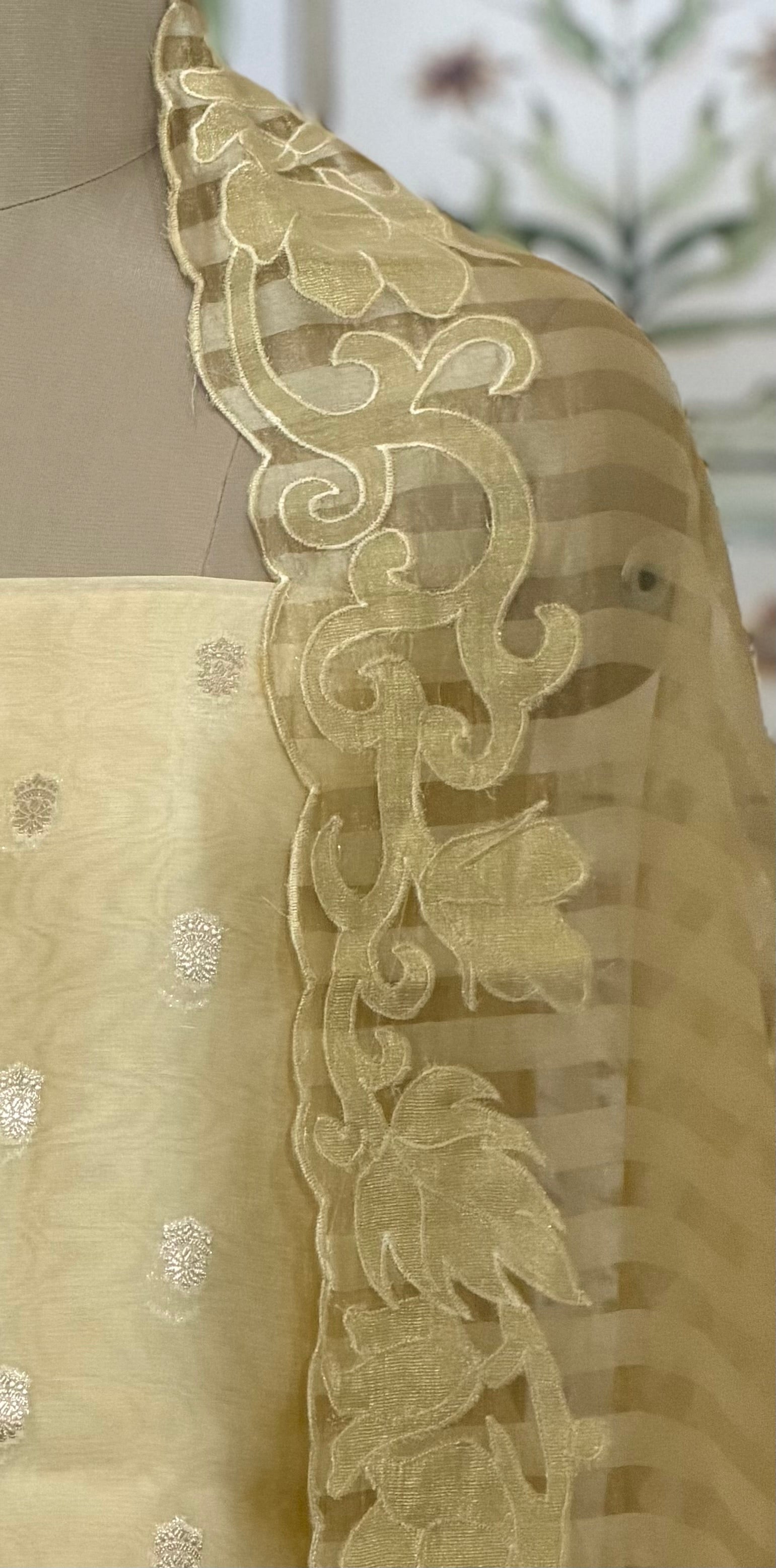 Pure Banaras Silk & Organza Dupatta Suit (3 piece)