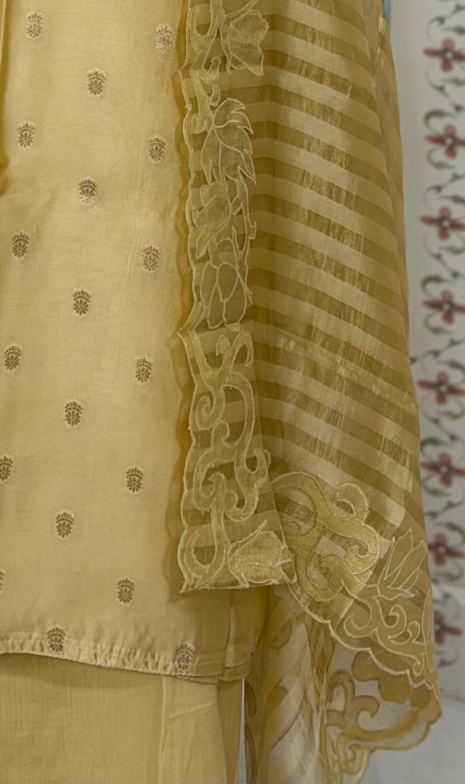 Pure Banaras Silk & Organza Dupatta Suit (3 piece)